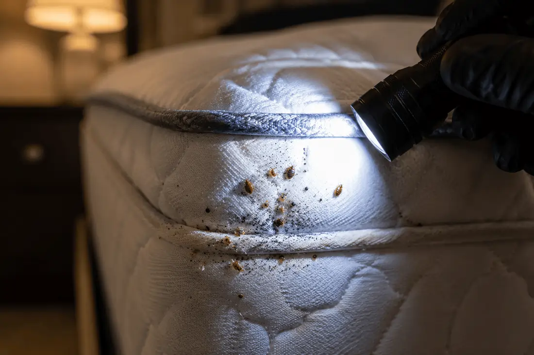 Bug-A-Pest technician at a customer's home in Southwest Ohio